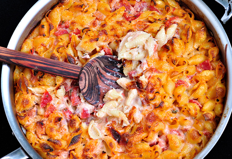 Shells with Five Cheeses, Ham and Tomato