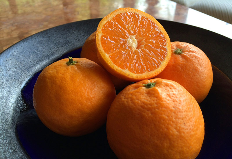 Pixie Tangerine Crepes with Raspberry Sauce
