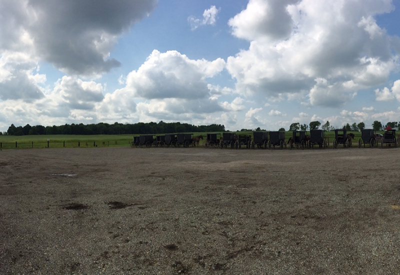 Buggies in Amish Country