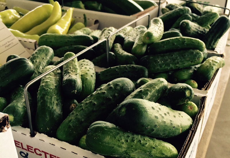 Buy Local. Eat Local.