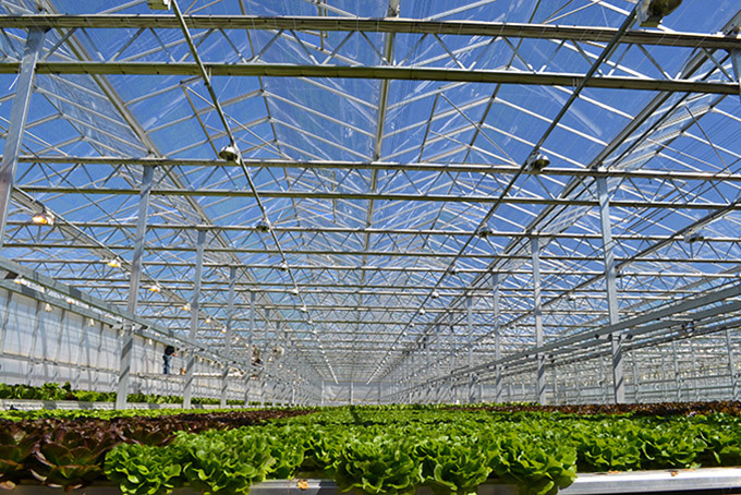Great Lakes Growers greenhouse