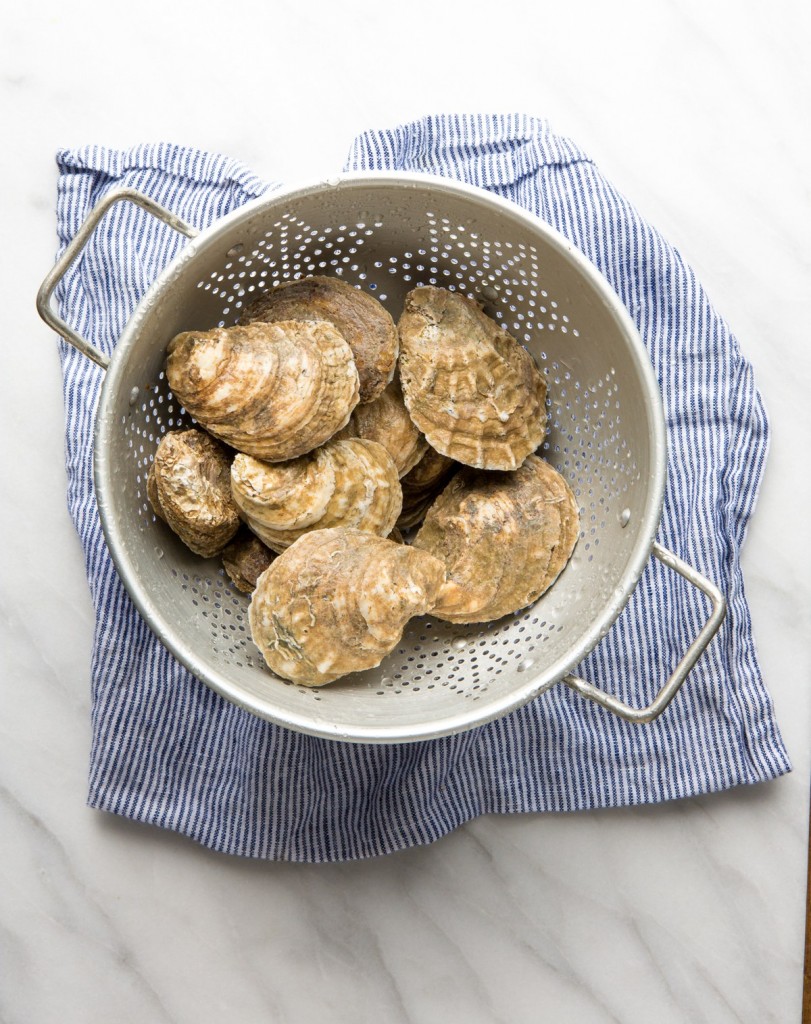 Blue Point Oysters
