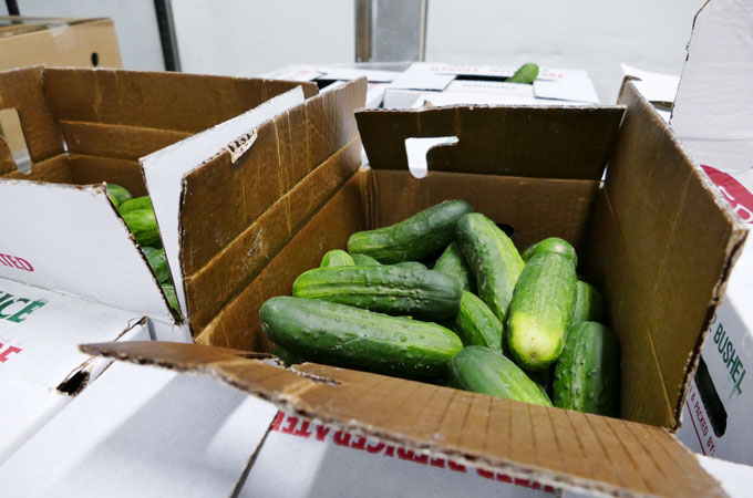 cucumbers in a box