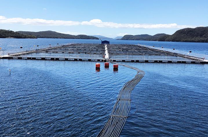 Open water with fish large metal fish pens.