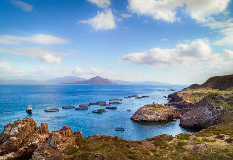 We Know Our Sources: Pacifico Aquaculture