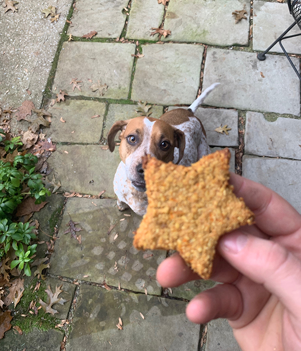 Peanut Butter and Banana Dog Cookies