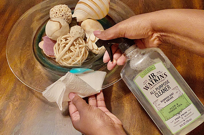 J.R. Watkins Aloe & Green Tea All-Purpose Cleaner