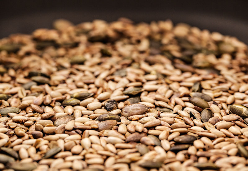 Toasted Sprouted Seeds