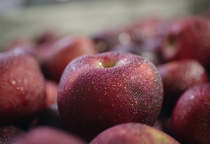 We Know Our Sources: Burnham Orchards