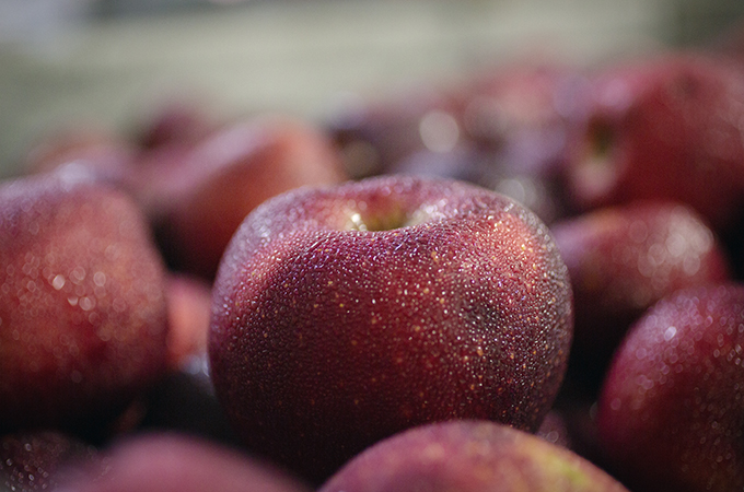 Local Apples in Crate
