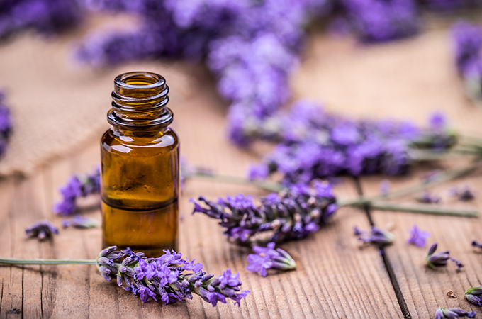 Lavender Essential Oil