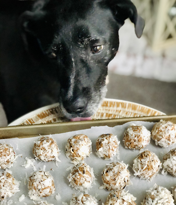 Coconut Peanut Butter & Berry Truffle Treats