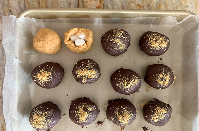 Chocolate covered Smores Truffles lined on a backing sheet.