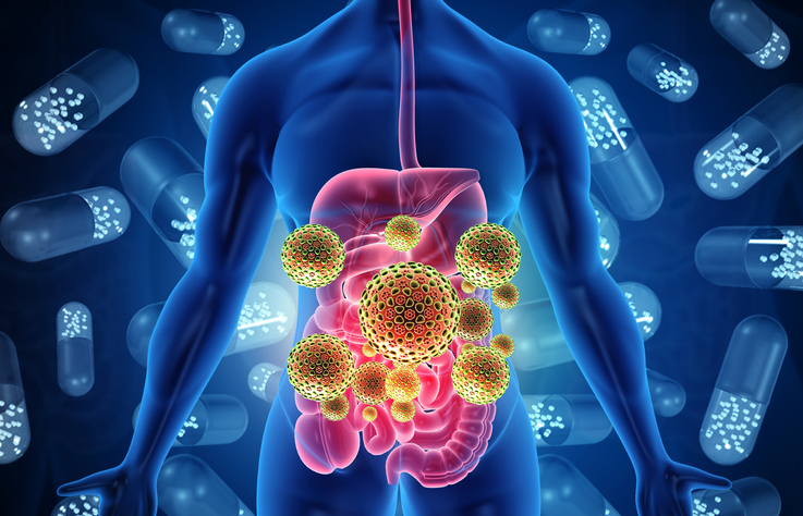 Digestive Health Part 4: Bridge the Gap with Probiotics