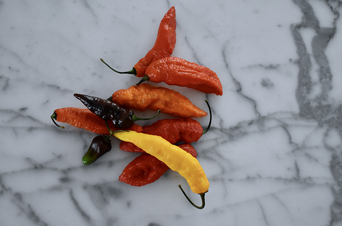 Ghost Peppers