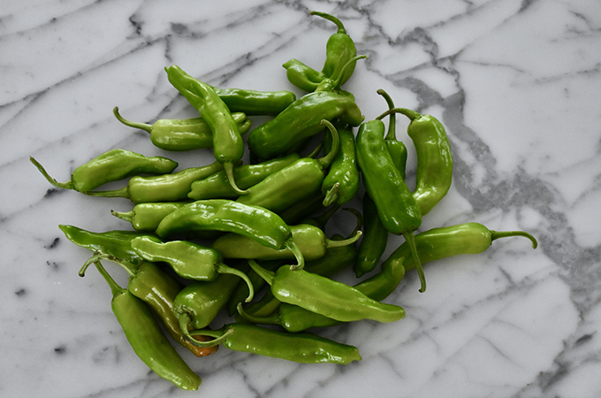 Shishito Peppers