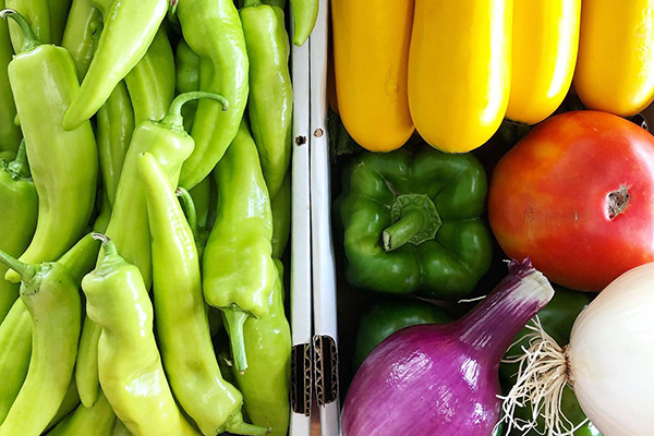 Fresh produce including Anaheim peppers, yellow squash, green bell peppers, tomatoes, red and white onions.