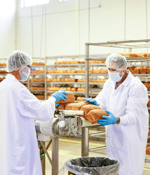 Angelic Bakehouse Factory and Workers