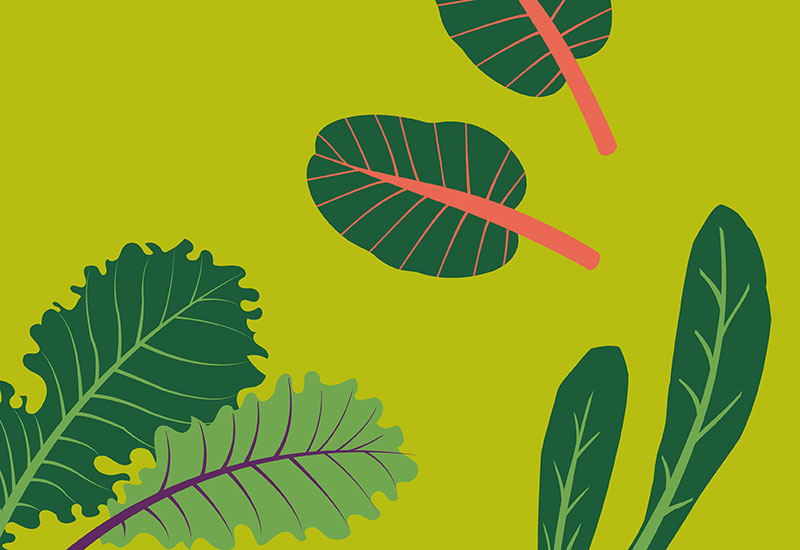 How to Make Eating Greens Affordable