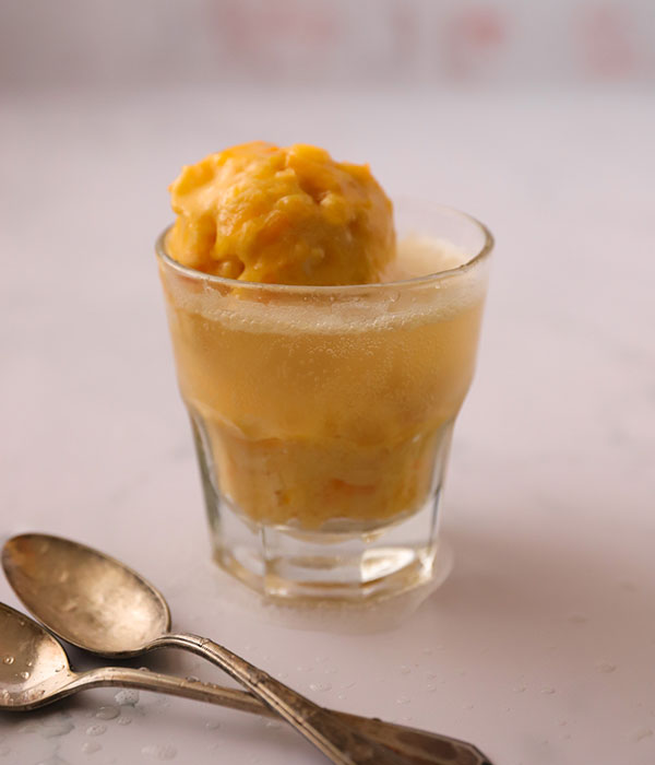 Two Ingredient Fruit Sorbet