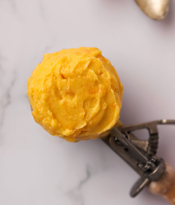 Two Ingredient Fruit Sorbet