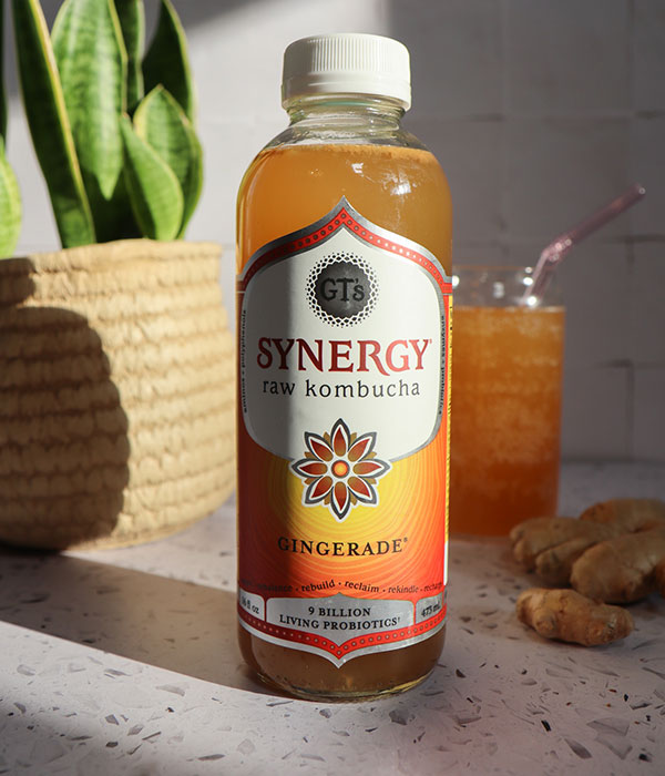 GTs Gingerade Kombucha 