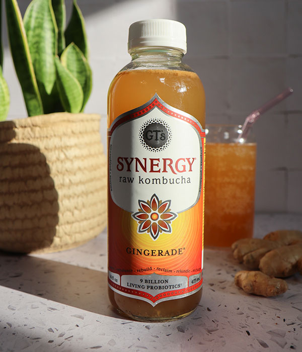 Gt's Gingerade Kombucha