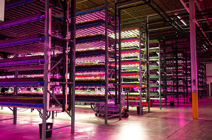 Buckeye Fresh Greenhouse