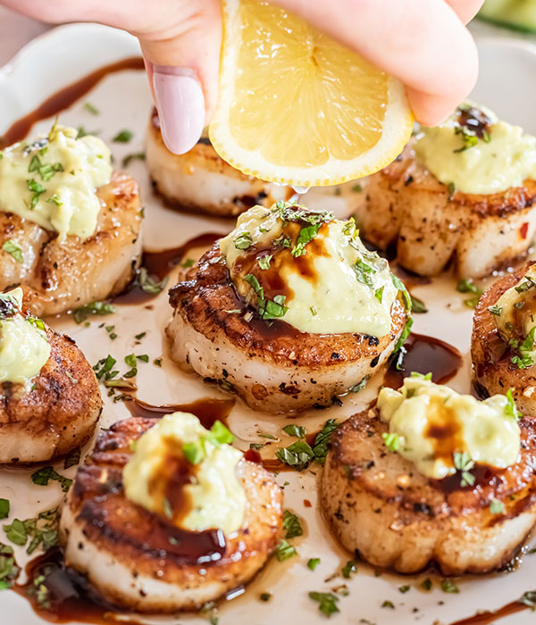 Seared Scallops with Avocado Sauce
