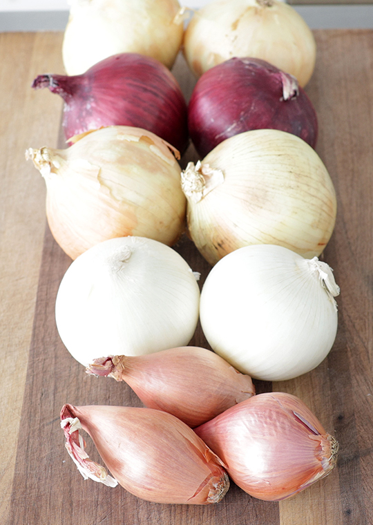 Yellow onion, red onion, sweet onion, white onion, and shallots on a cutting board.