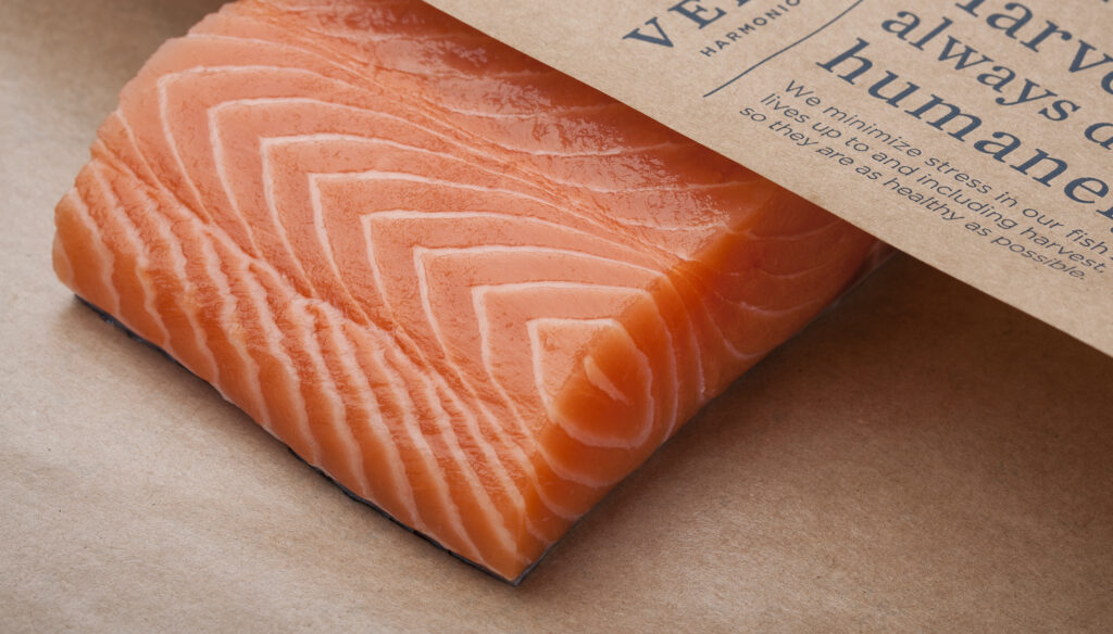 A fresh wild salmon fillet.