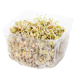 Fresh bean sprouts in a container.