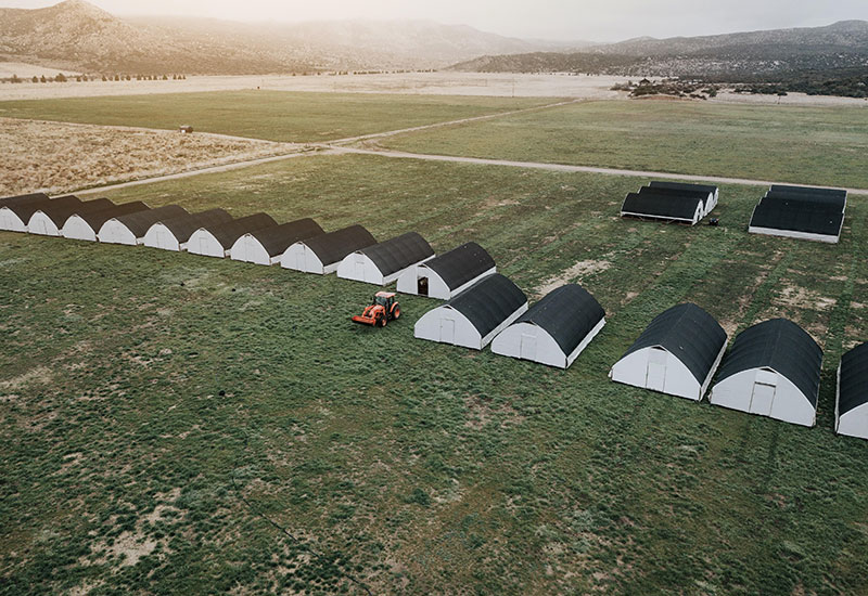We Know Our Sources: Pasturebird Chicken