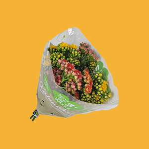 A Bouquet of Fresh Cut Kalanchoe Flowers