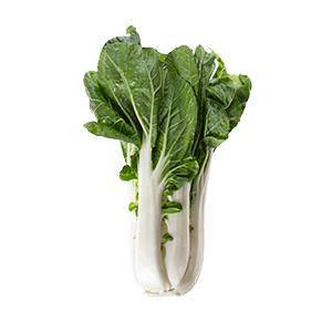 Bok Choy