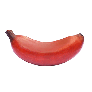 Red banana