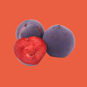 Midnight Rose Apriums